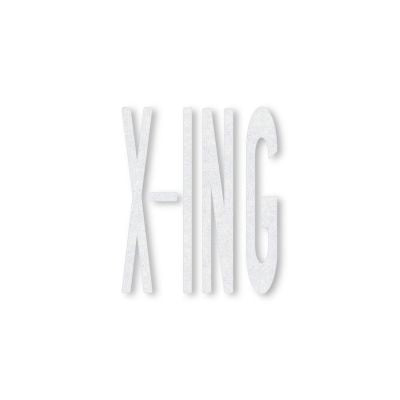 XING Preformed Thermoplastic Pavement Marking Legends/Words - .090 | 8ft